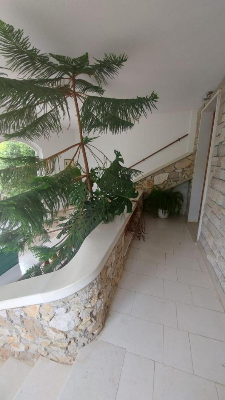 Apartment Brane Μπολ Εξωτερικό φωτογραφία